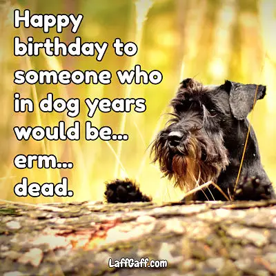 Dog years happy birthday wishes