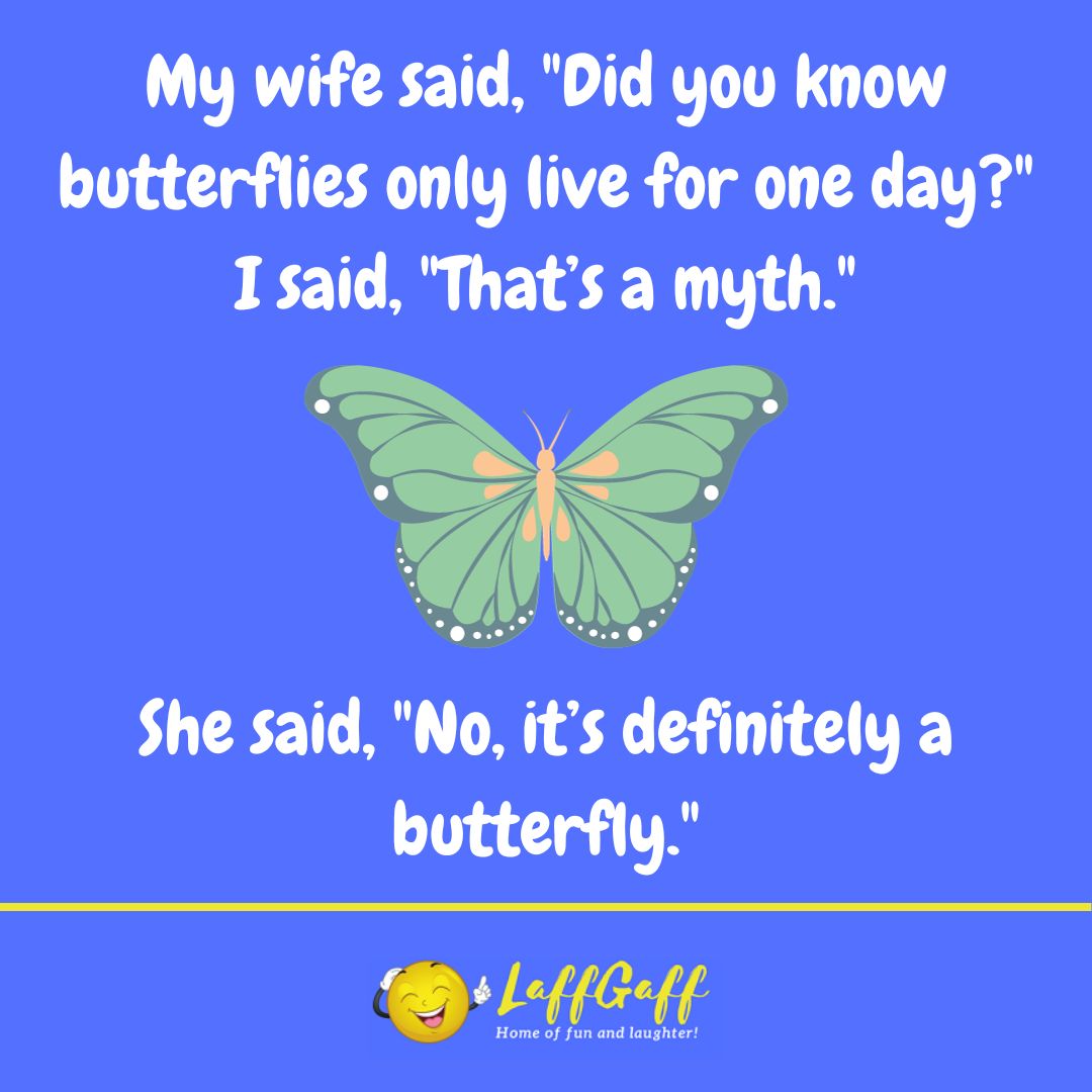 Butterflies joke from LaffGaff.