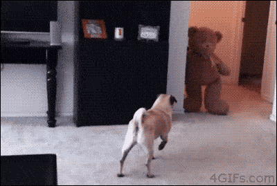 10 Funny Animated Dog GIFs | LaffGaff, Home Of Laughter