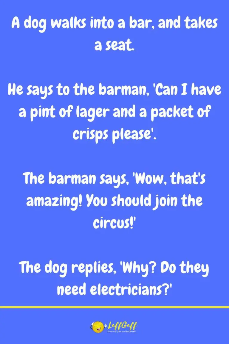 Funny Dog Walks Into Bar Joke! | LaffGaff, Home Of Laughter