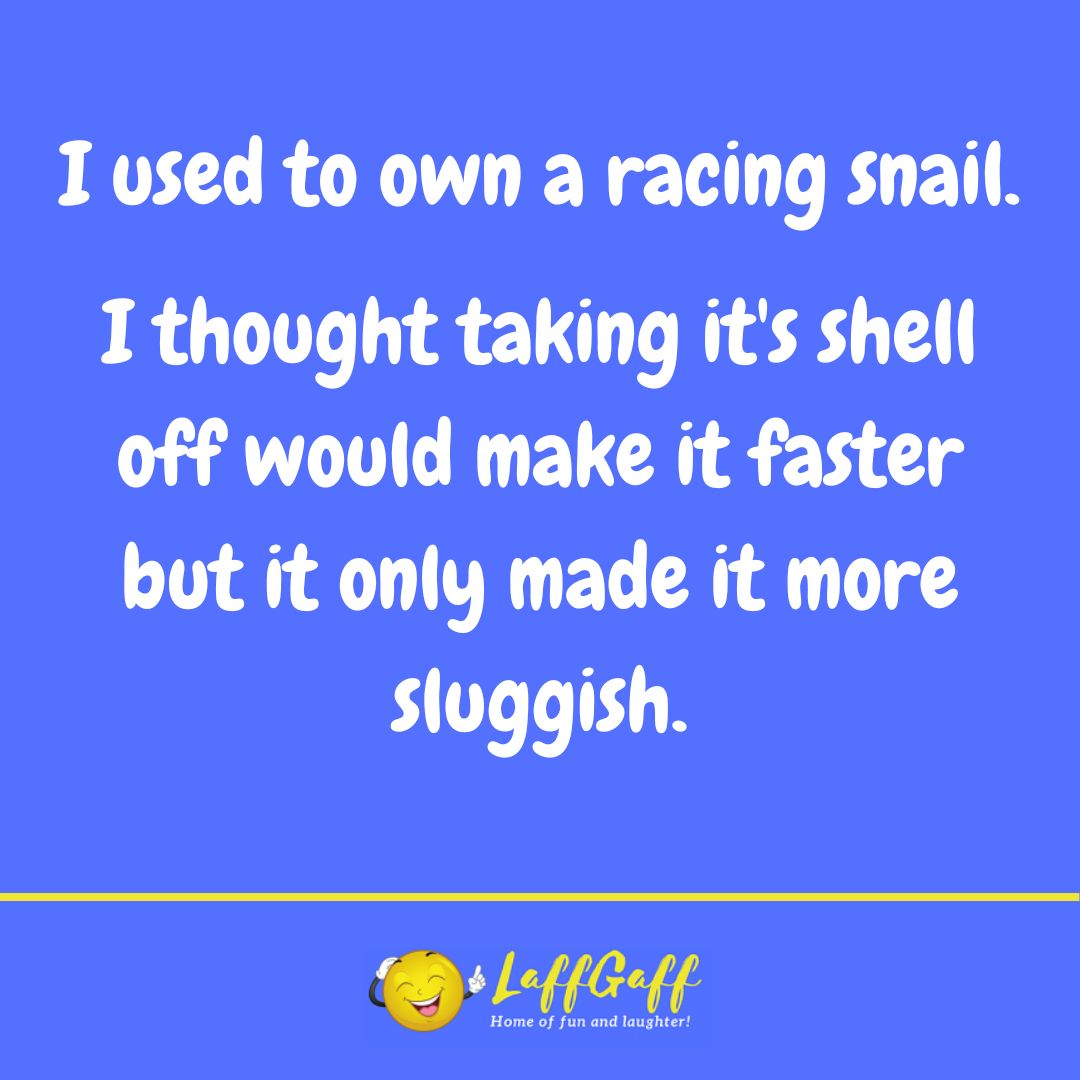 Racing snail joke from LaffGaff.