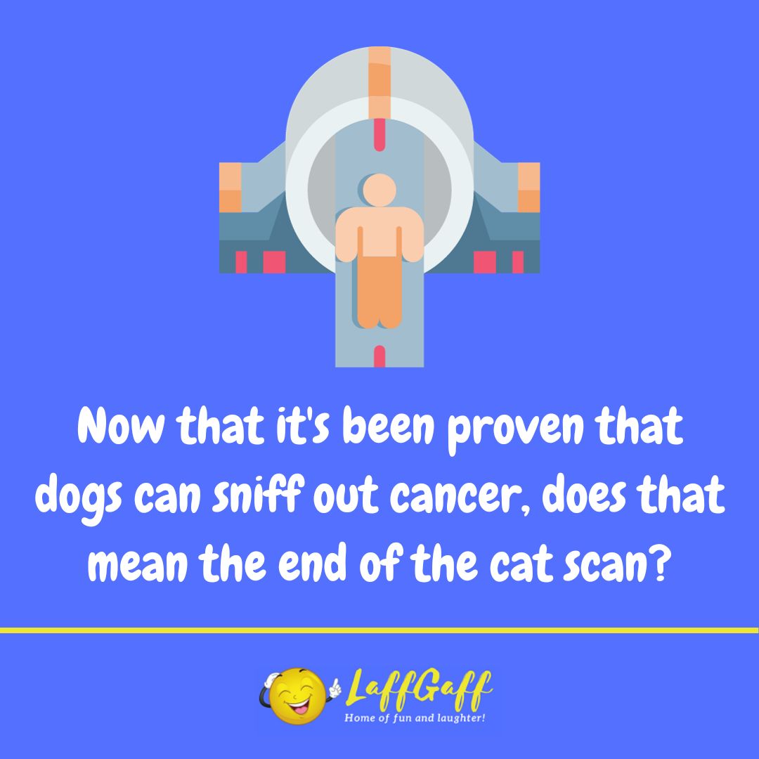 No more cat scans joke from LaffGaff.
