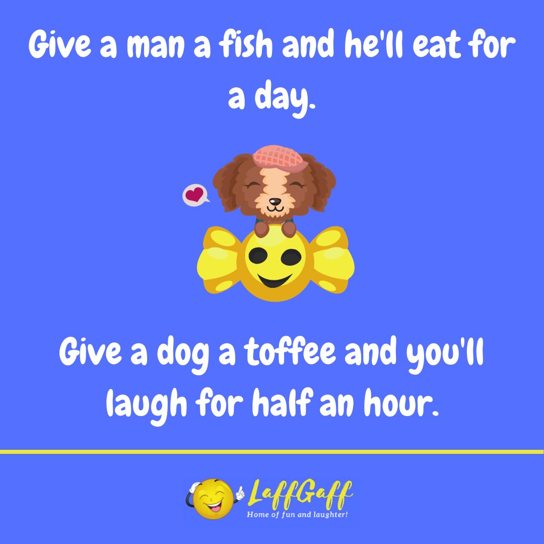 Give a dog a toffee joke from LaffGaff.