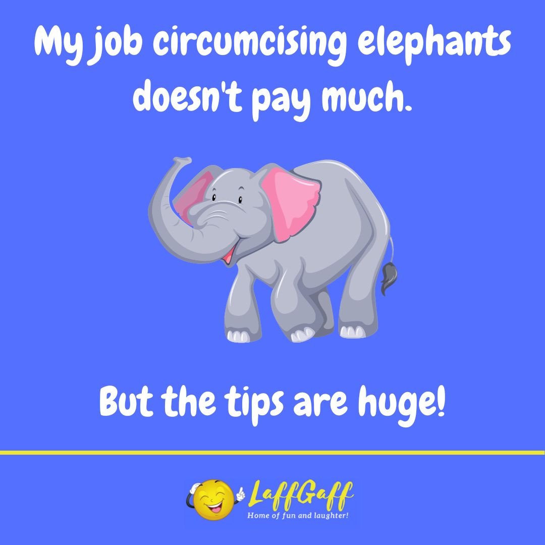 Elephant circumcision joke from LaffGaff.