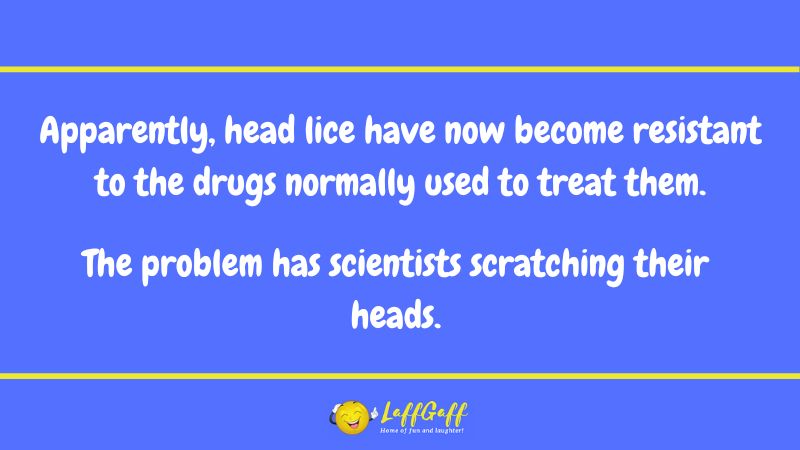 Head lice joke from LaffGaff.