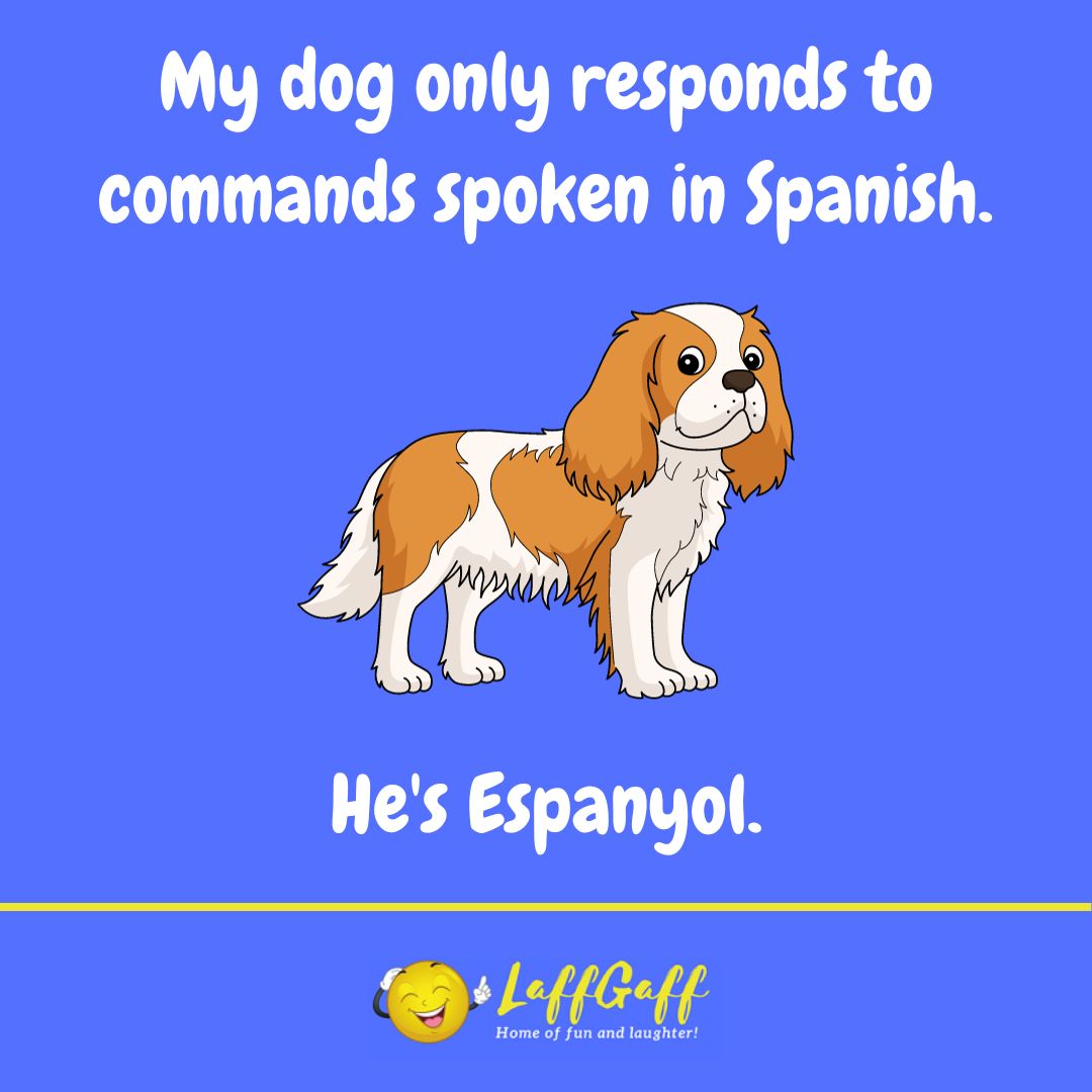 Spanish speaking dog joke from LaffGaff.