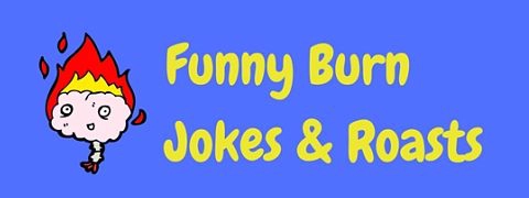 40 Funny Burn Jokes More Of The Best Burns Laffgaff