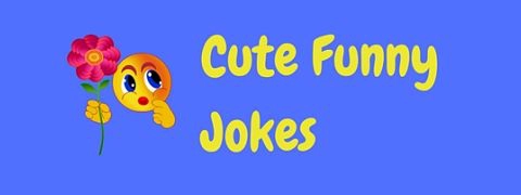 Featured image of post Short Jokes Funny Short Jokes A Joke : Why waste your memory on long boring jokes?