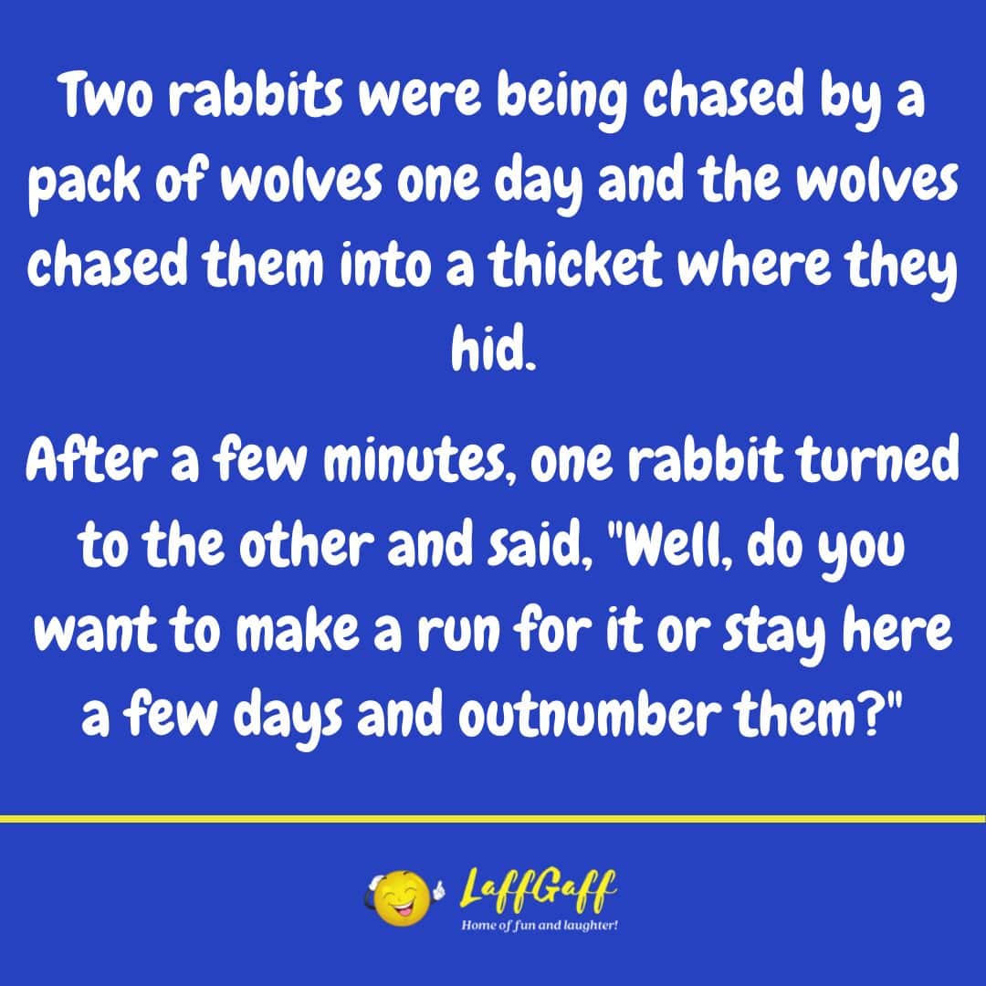 Two rabbits joke from LaffGaff.