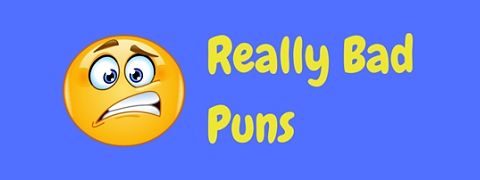 Header image for a page of really bad puns so awful you just have to laugh!