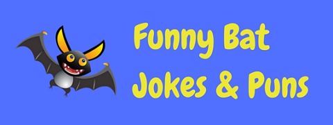 A collection of funny bat jokes to get your teeth into!