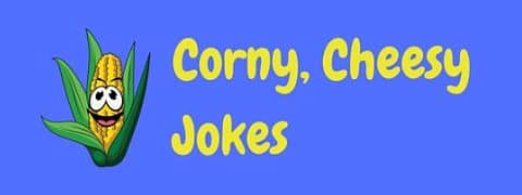 A selection of the most cheesy and corny jokes for kids and adults alike.