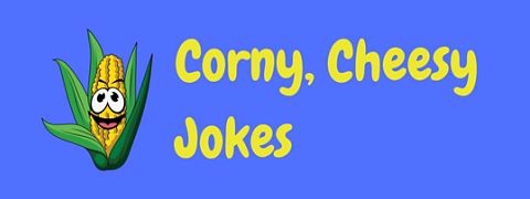 Corny Funny Best Dad Jokes