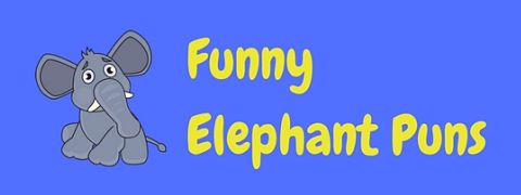 elephant puns