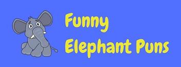 50+ Hilarious Elephant Puns And Elephant Jokes | LaffGaff
