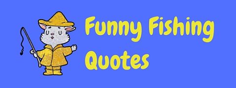 There's no better catch than these funny fishing quotes and sayings!