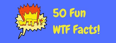 Fun WTF facts to astound and amaze!