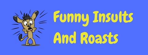 The very best funny insults, burns and roasts