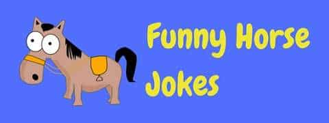 A collection of funny horse jokes and puns