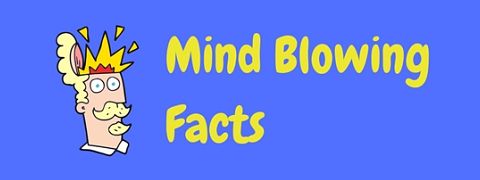 These cool facts are sure to blow your mind