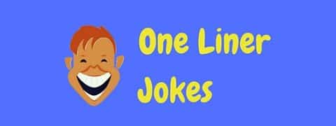 Only the best one liner jokes made it into this collection!