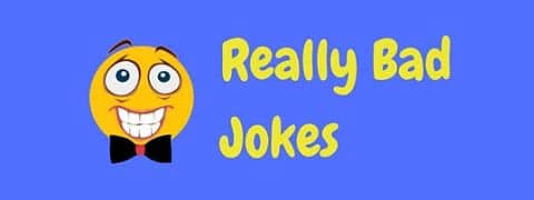 A selection of jokes that are really bad, so bad you'll have to laugh!