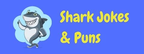 A collection of funny shark jokes and puns