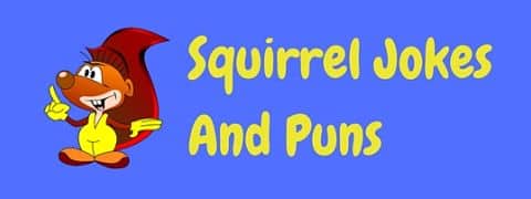 A collection of funny squirrel jokes and puns