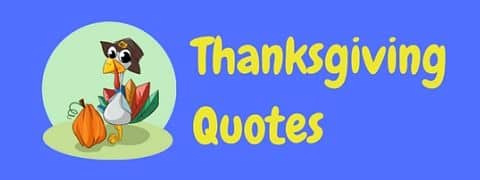 A page of funny Thanksgiving quotes