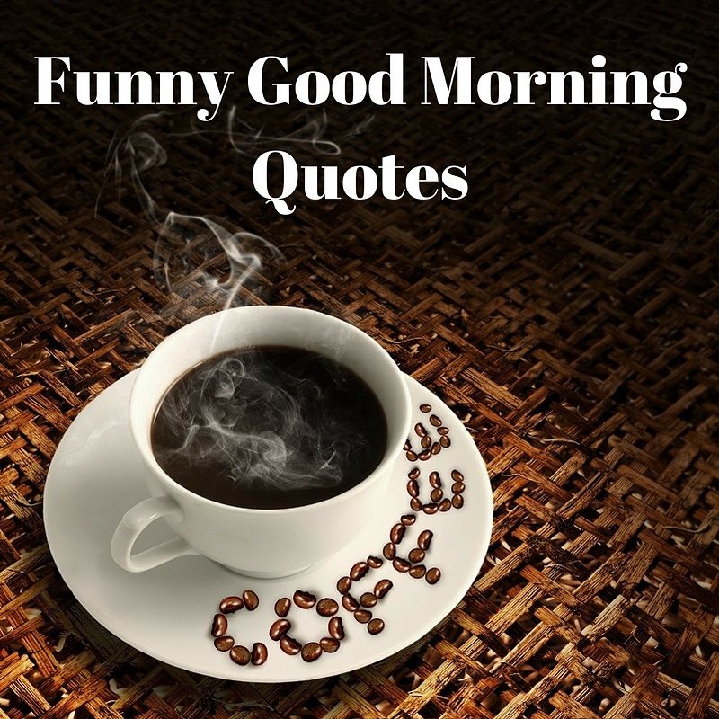 Funny Good Morning Quotes Laffgaff Home Of Laughter