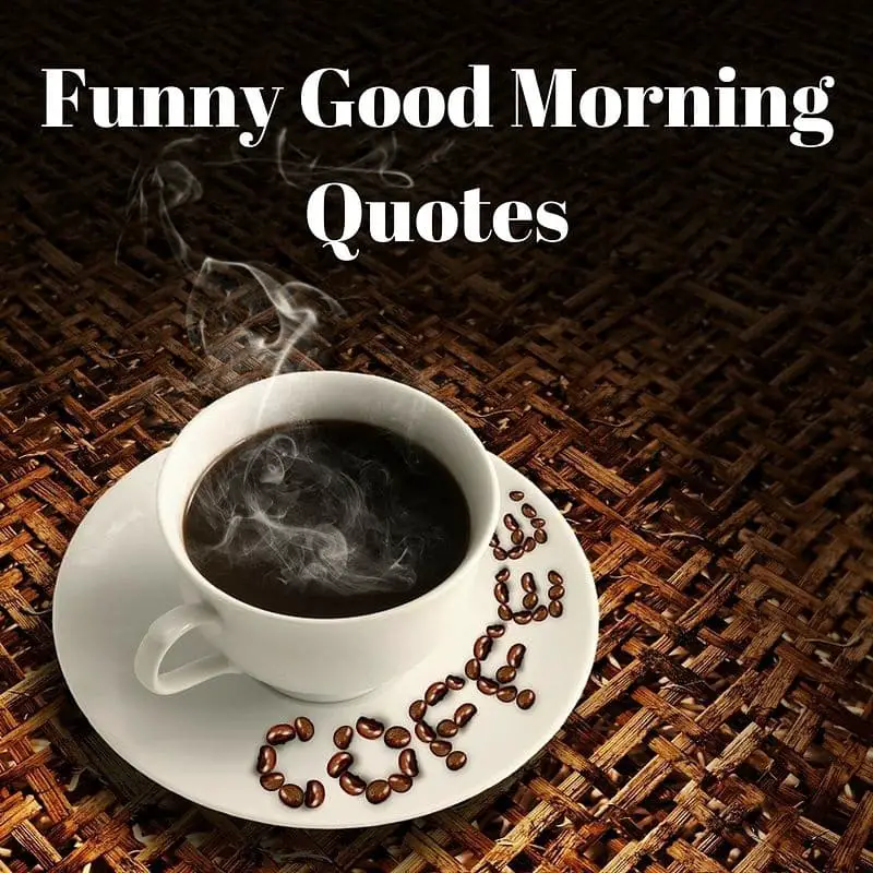 Funny Good Morning Quotes LaffGaff Home Of Laughter