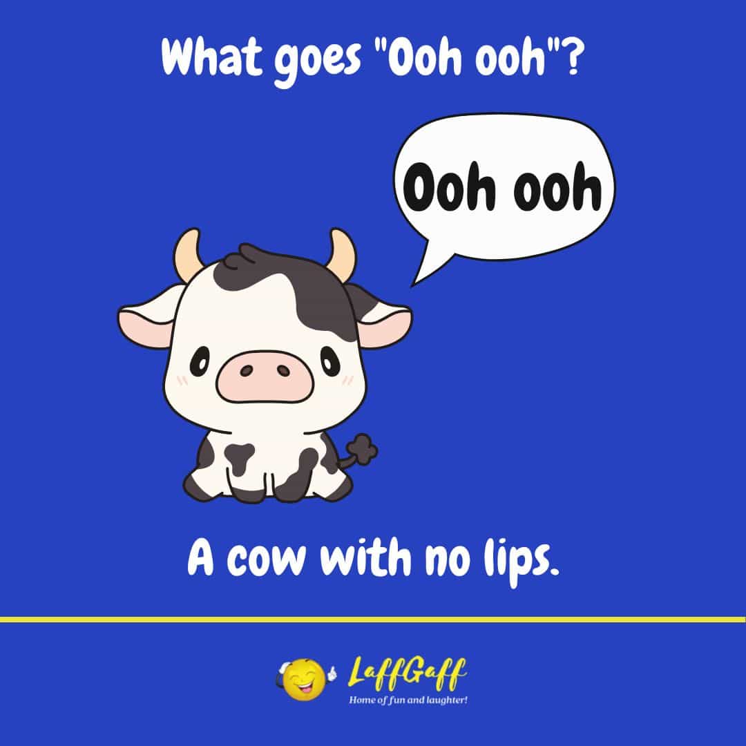 Strange cow joke from LaffGaff.