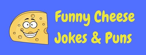 60 Funny Cheese Jokes And Puns Laffgaff Home Of Laughter