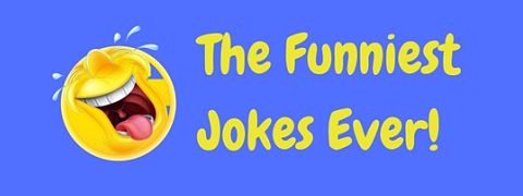 The Best Jokes Ever Told Clean