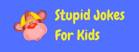 A selection of hilariously stupid jokes for kids!