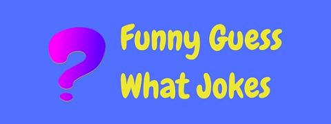 A collection of funny guess what jokes