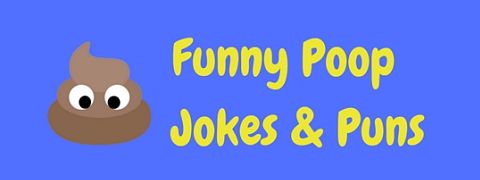 A stinking great pile of funny poop jokes and puns