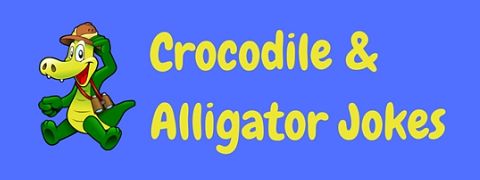 Here's a snappy collection of funny crocodile & alligator jokes and puns!