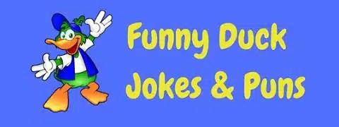 40 Funny Duck Jokes Puns To Quack You Up Laffgaff Home Of Fun And Laughter