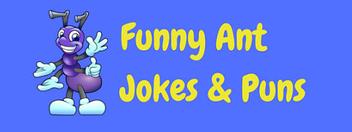 55 Funny Ant Jokes & Ant Puns! | LaffGaff