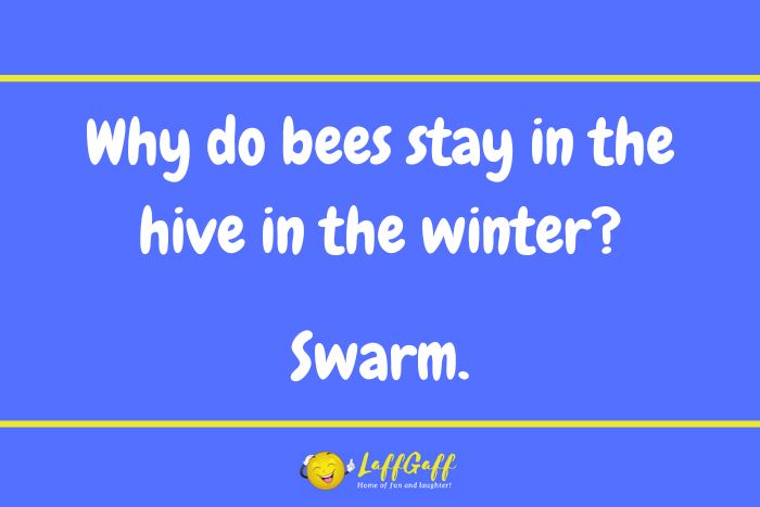 Winter bees joke from LaffGaff.