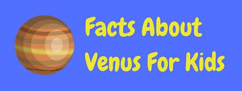 A collection of fun facts about Venus for kids and adults alike!