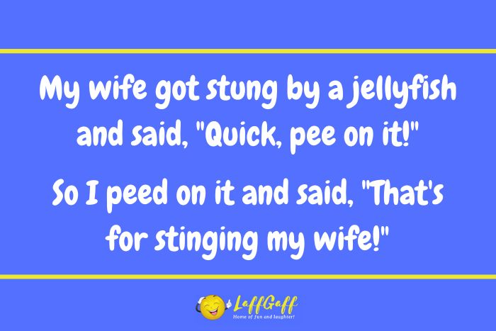 Jellyfish sting joke from LaffGaff.