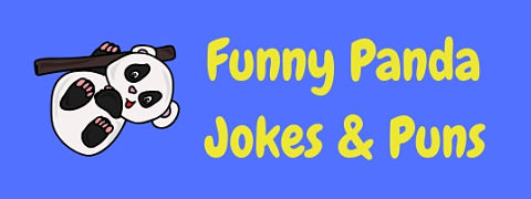 A collection of funny panda jokes and puns!