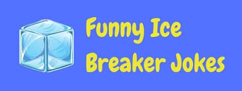 This collection of funny ice breaker jokes has something for every occasion.