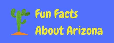 Here are some interesting and fun Arizona facts.