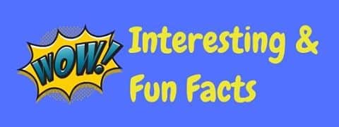 Interesting and fun facts to astonish and amaze!