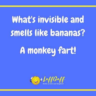 Image file for banana smell joke.