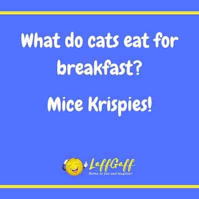 Image file for cat breakfast joke.