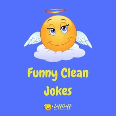 30 Funny Clean Jokes For Everyone | The Best Of LaffGaff!